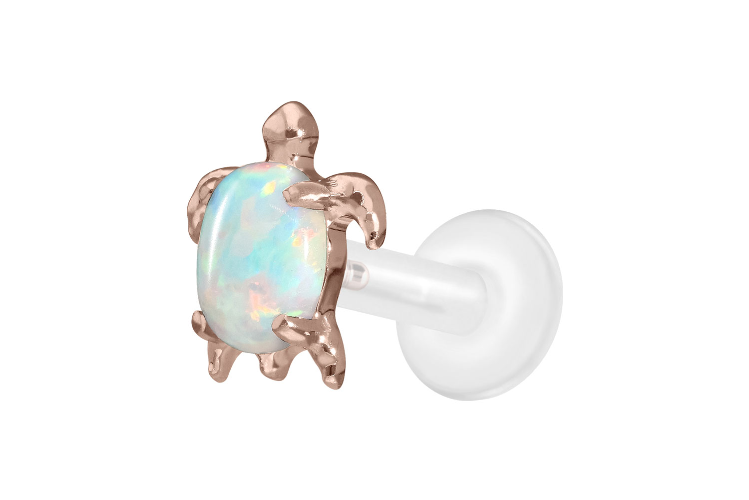 PTFE Labret Piercing mit Innengewinde + Titan-Aufsatz SCHILDKRÖTE